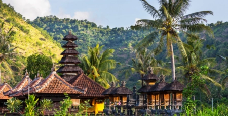 Pourquoi choisir Bali comme première destination d'expatriation en télétravail ?