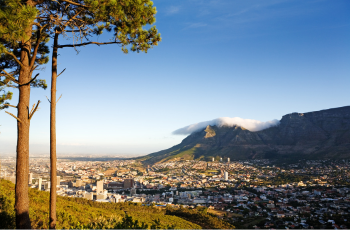 Le télétravail à Cape Town : 6 merveilles de la nature à découvrir !