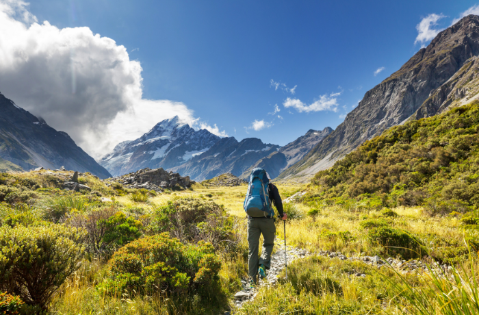 Visa visiteur en Nouvelle Zélande : une nouvelle opportunité pour les digital nomads