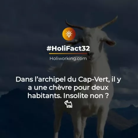 Cap-Vert-île-de-sal