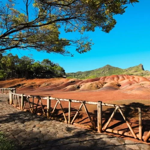 teleworking-mauritius