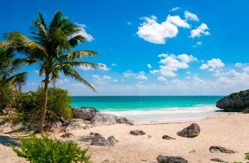 Vivre et travailler à Playa del Carmen : Tout ce que vous devez savoir