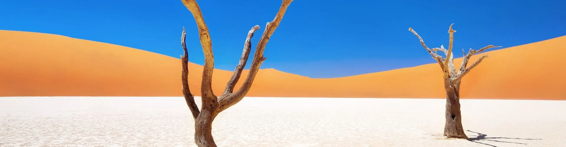 Désert Namibie 