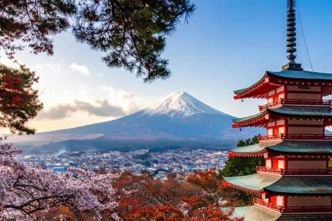 Japon