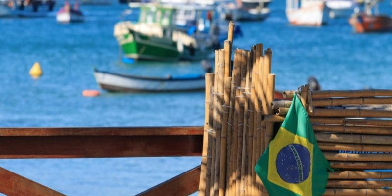 Image illustrant Rio en chiffres