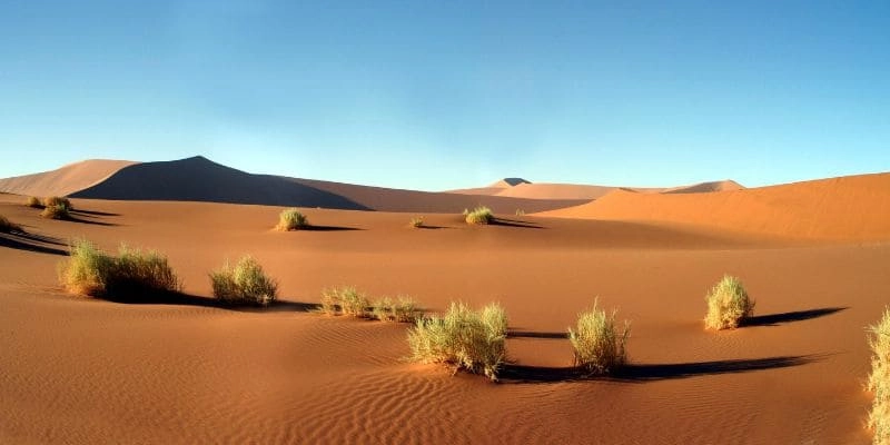 Désert Namibie 
