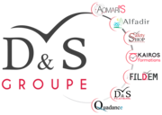 D&S groupe