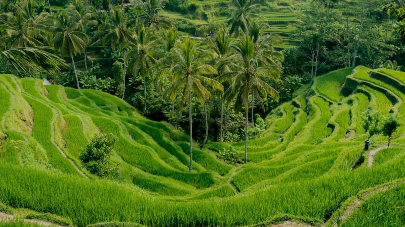 Destination 1